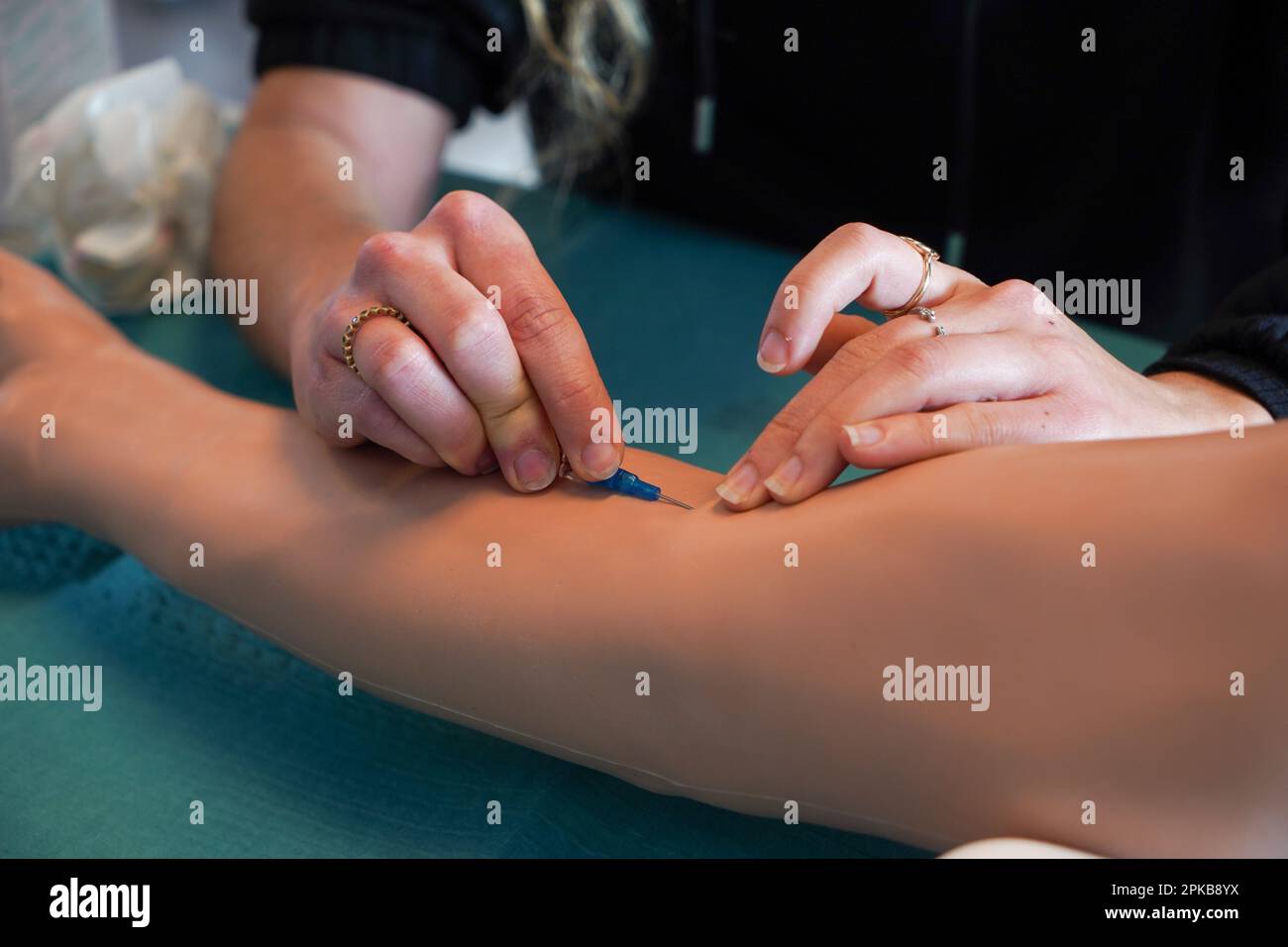 5th anni di studenti di medicina durante un workshop di IV tirocinio. Gli studenti si allenano su un braccio arterioso consentendo la puntura arteriosa e venosa per il campionamento del sangue. Foto Stock