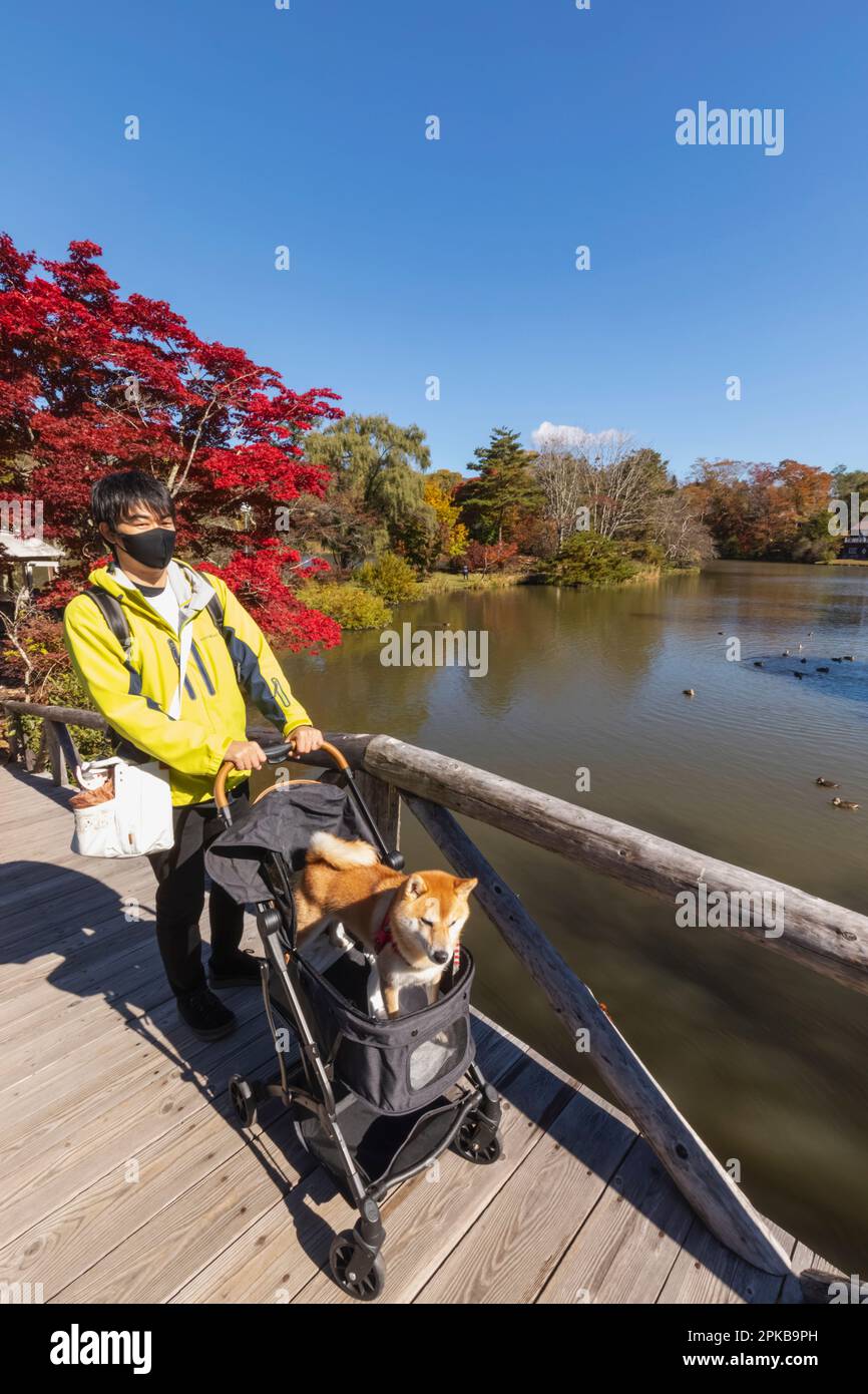 Giappone, Honshu, Prefettura di Nagano, Karuizawa, Lago Shiozawa, Uomo Walking Dog in PRAM Foto Stock