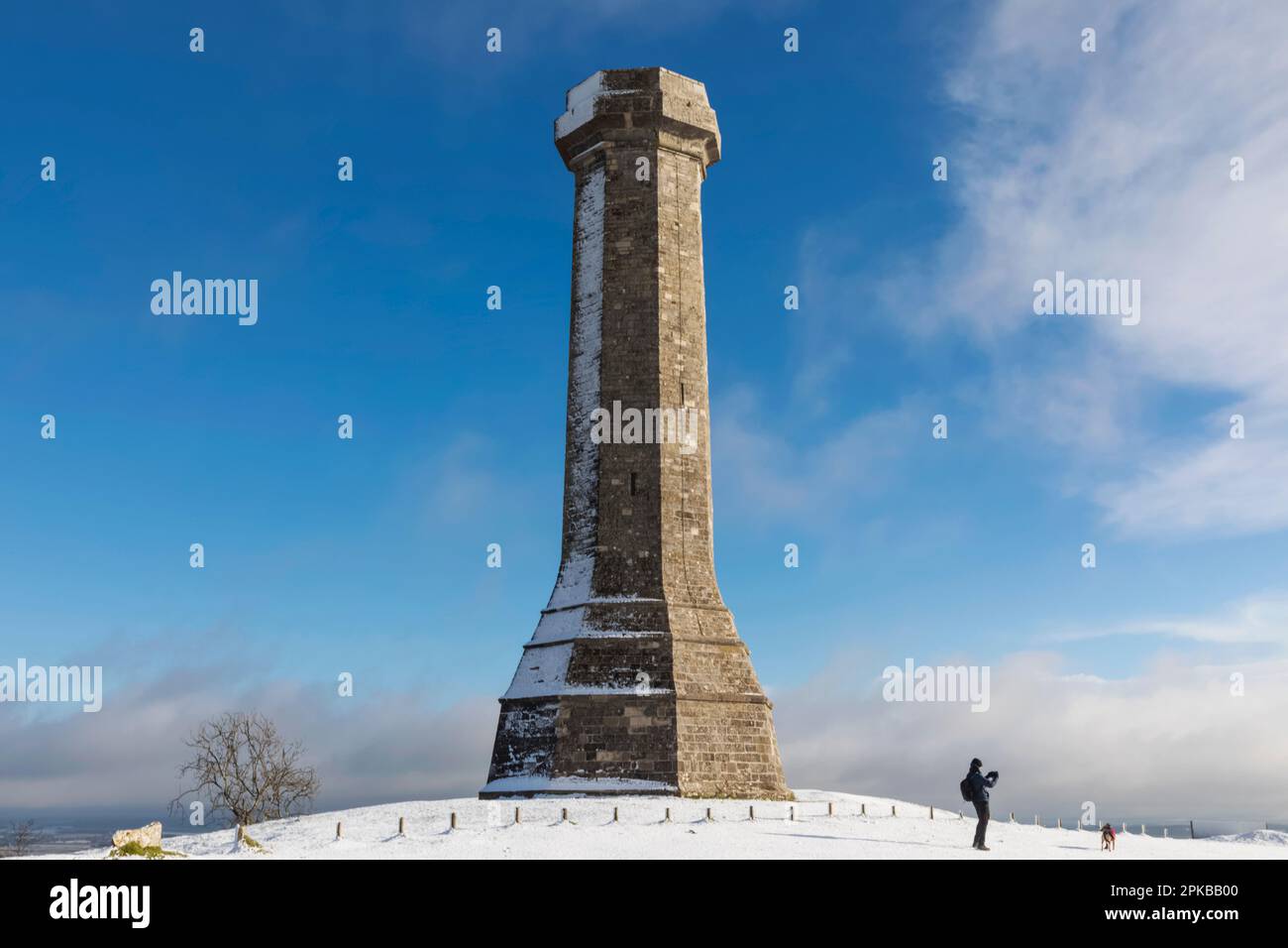 Inghilterra, Dorset, Thomas Hardy Monument in the Snow Foto Stock