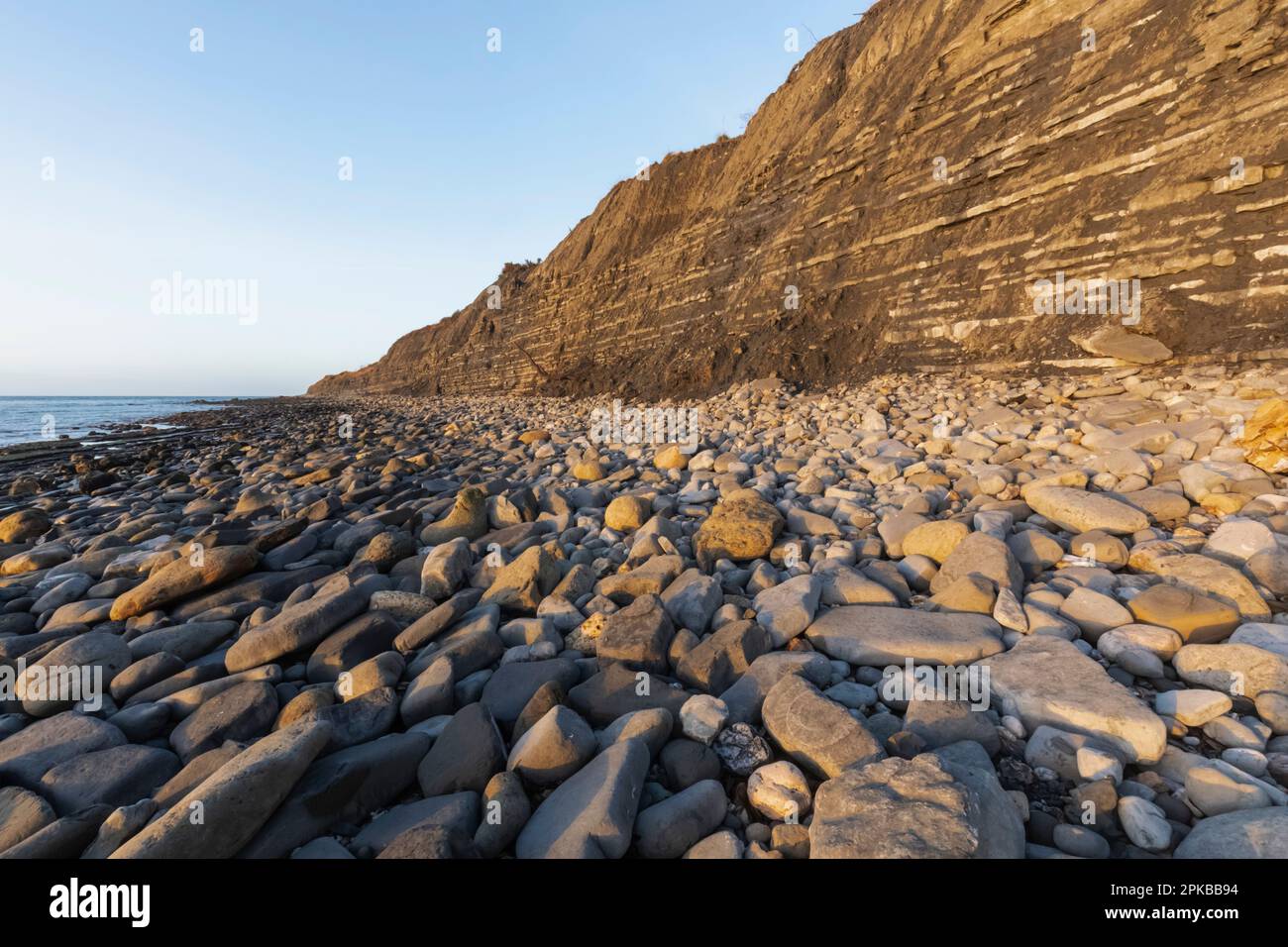 Inghilterra, Dorset, la Jurassic Coast, Lyme Regis, Monmouth Beach famosa per la caccia ai fossili Foto Stock