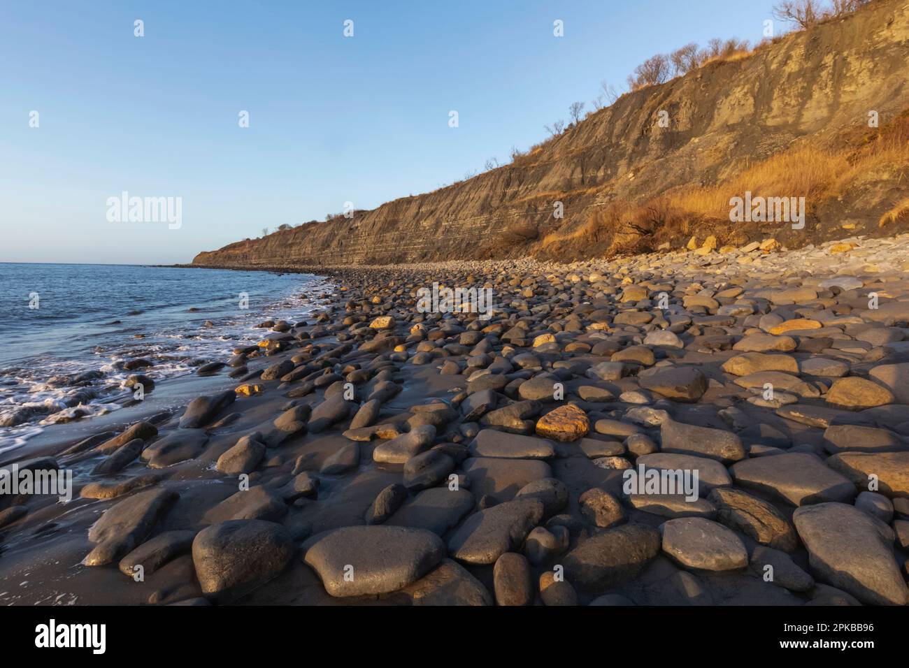 Inghilterra, Dorset, la Jurassic Coast, Lyme Regis, Monmouth Beach famosa per la caccia ai fossili Foto Stock