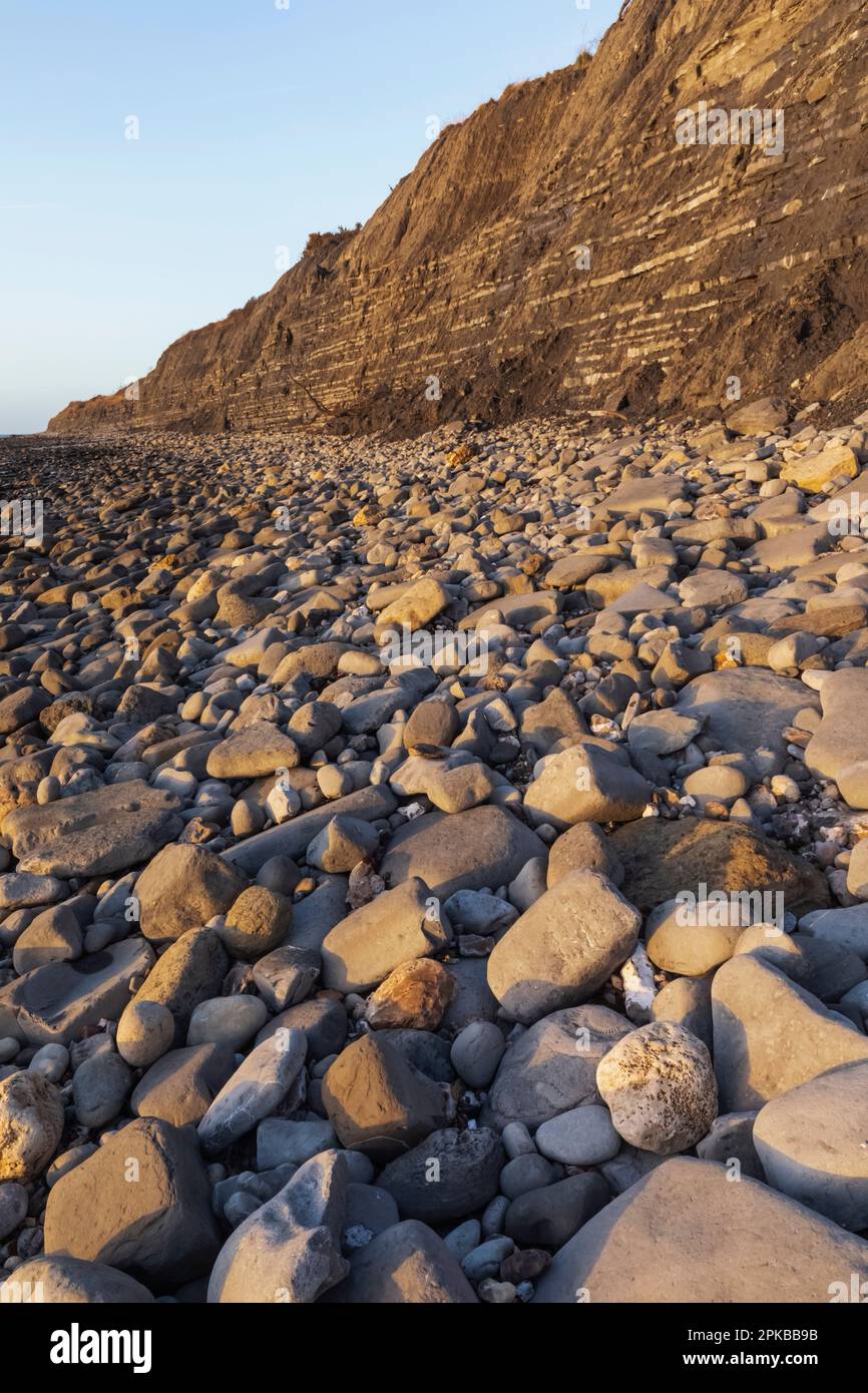 Inghilterra, Dorset, la Jurassic Coast, Lyme Regis, Monmouth Beach famosa per la caccia ai fossili Foto Stock