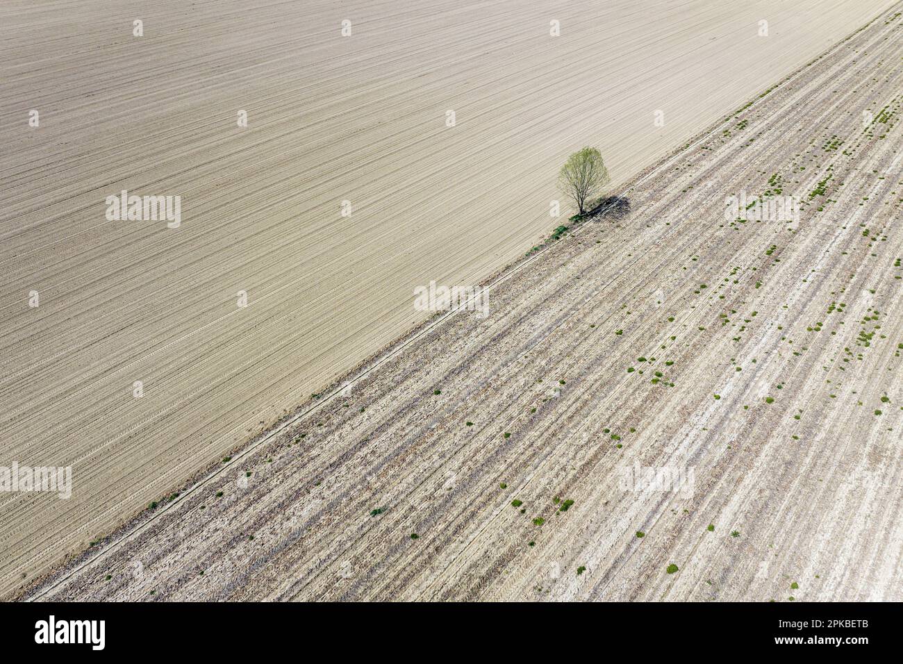 Stagione di siccità in Italia, vista drone di campi secchi Foto Stock