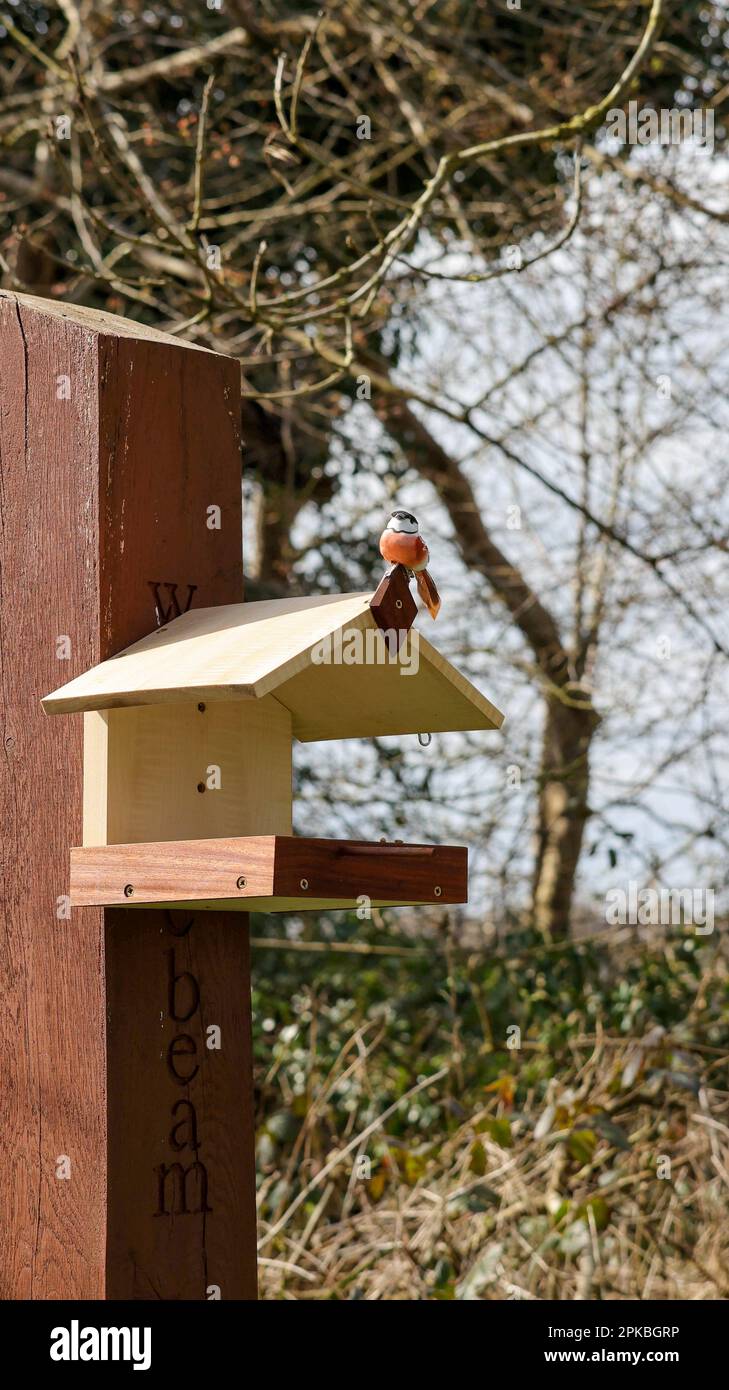 Stazione di alimentazione degli uccelli in legno del Regno Unito montata su un palo in legno. Tavola ornitologica in legno coperta in primavera. Foto Stock
