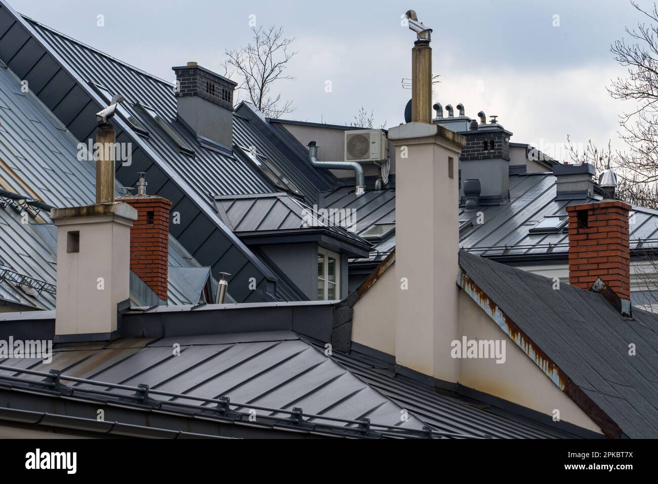 Tetti di case di inquilino coperto di lamiera, tetto in metallo grigio, camini Foto Stock