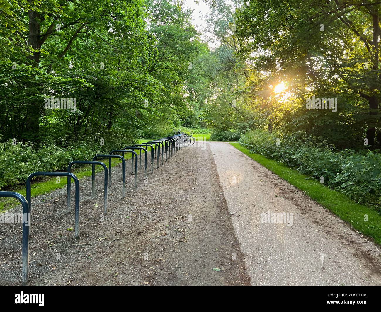 Biciclette parcheggiate vicino a stand di metallo nel parco verde Foto Stock