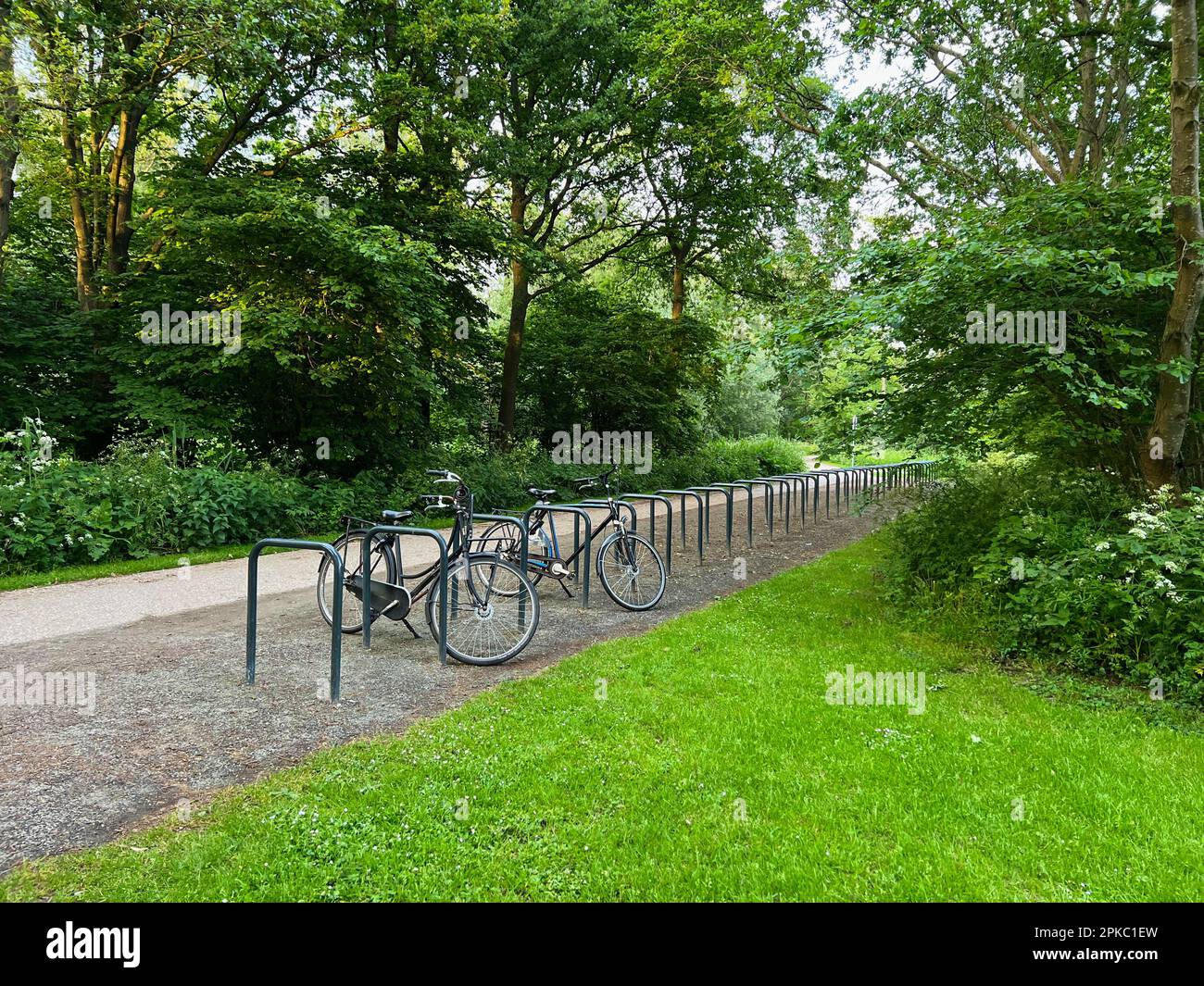 Biciclette parcheggiate vicino a stand di metallo nel parco verde Foto Stock