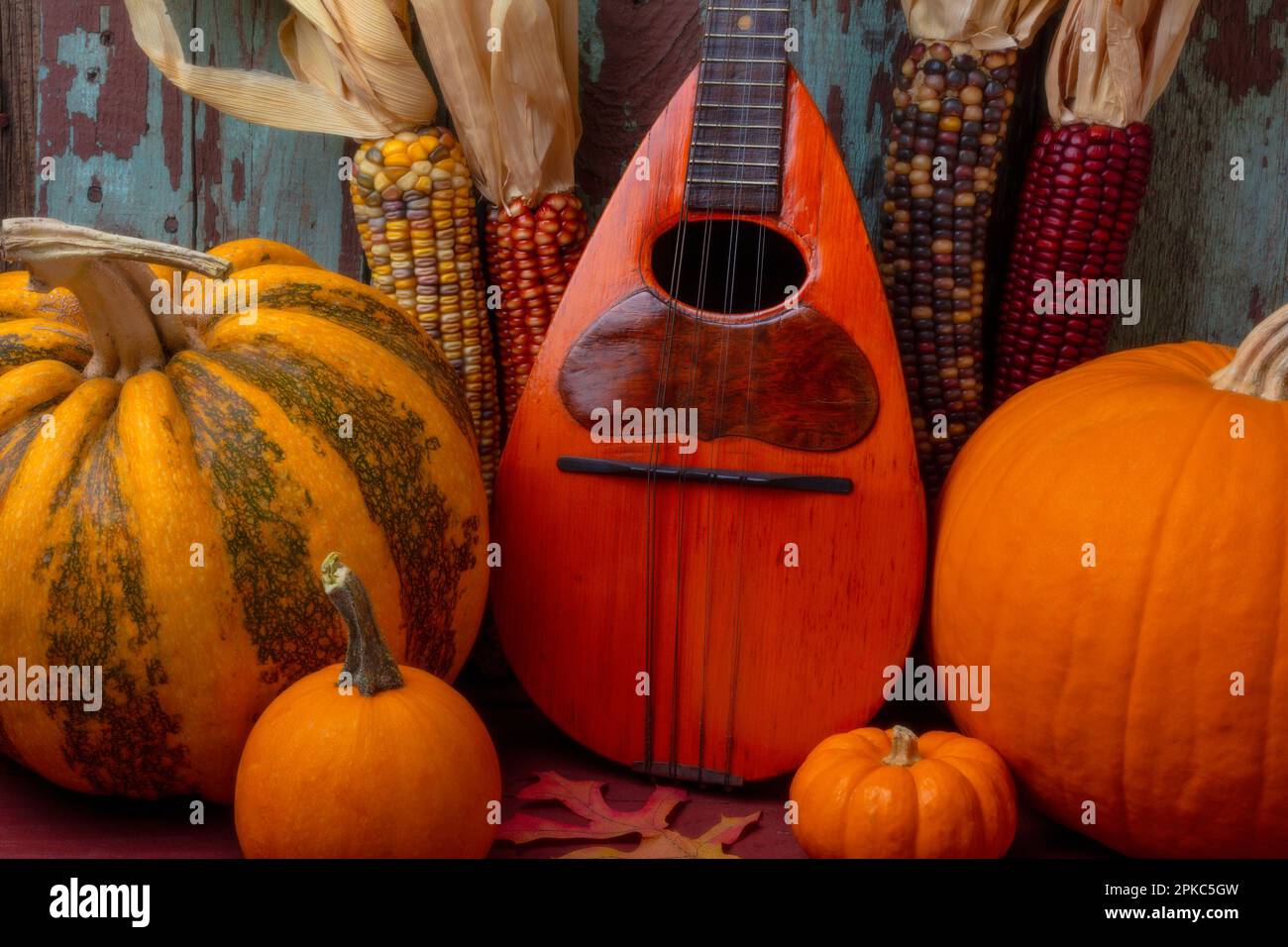 Old Mandolin e zucche d'autunno ancora vita Foto Stock