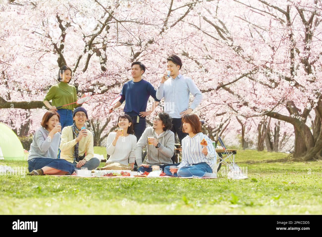 8 uomini e 8 donne che osservano i fiori di ciliegio Foto Stock