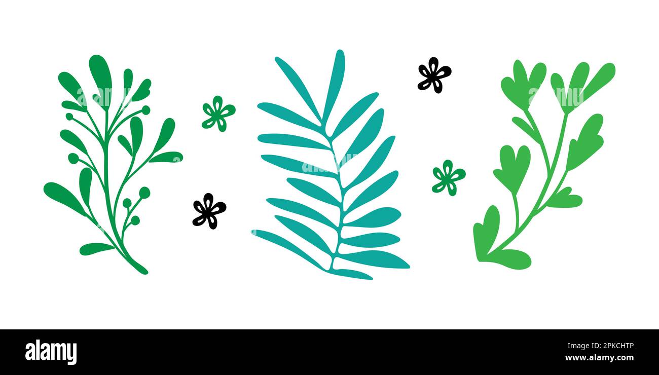 3 semplici elementi decorativi floreali Illustrazione Vettoriale