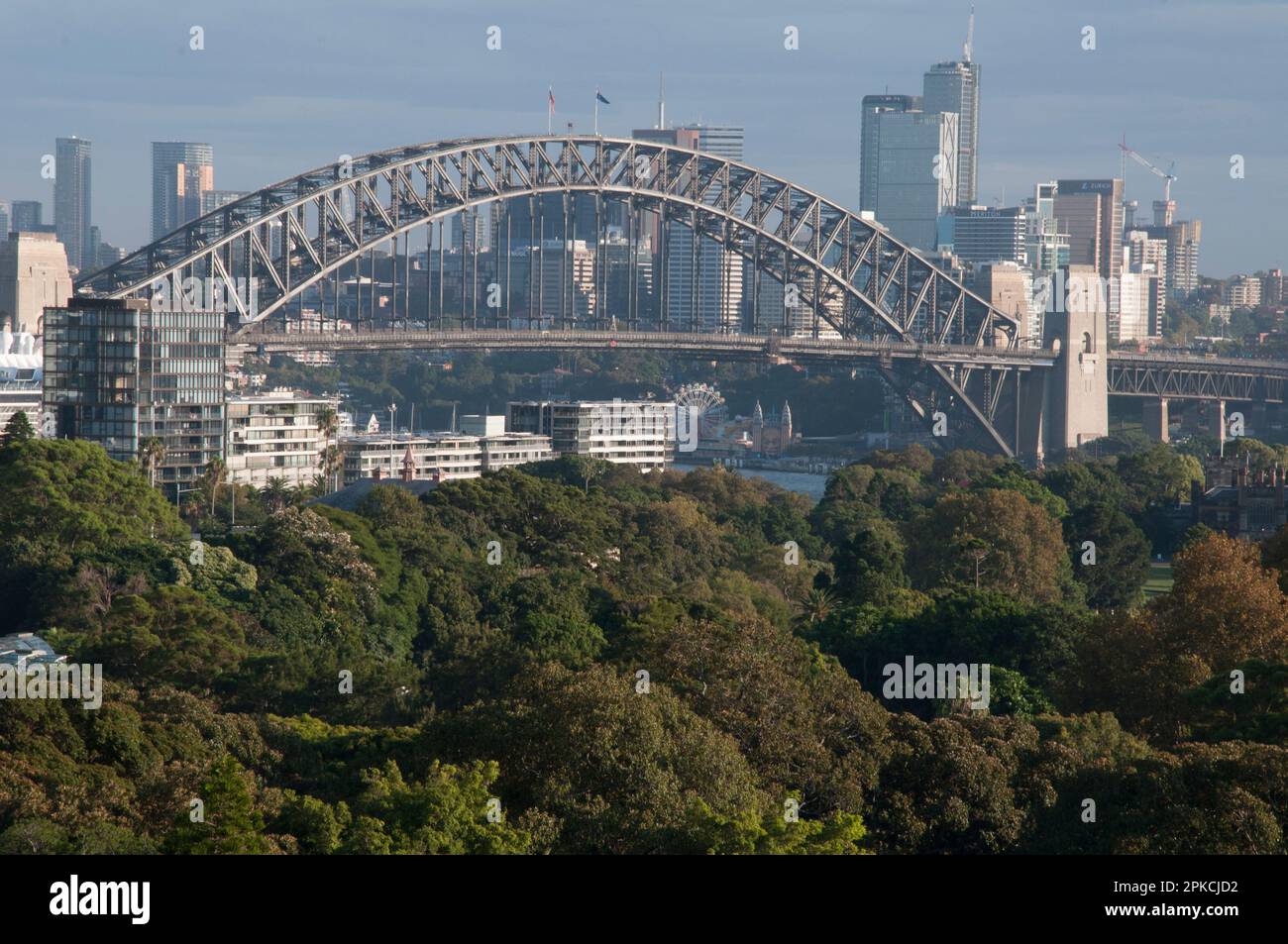 Vista sul tetto del Sydney Harbour Bridge guardando ad ovest da Woolloomooloo sul Royal Botanic Garden, NSW, Australia Foto Stock