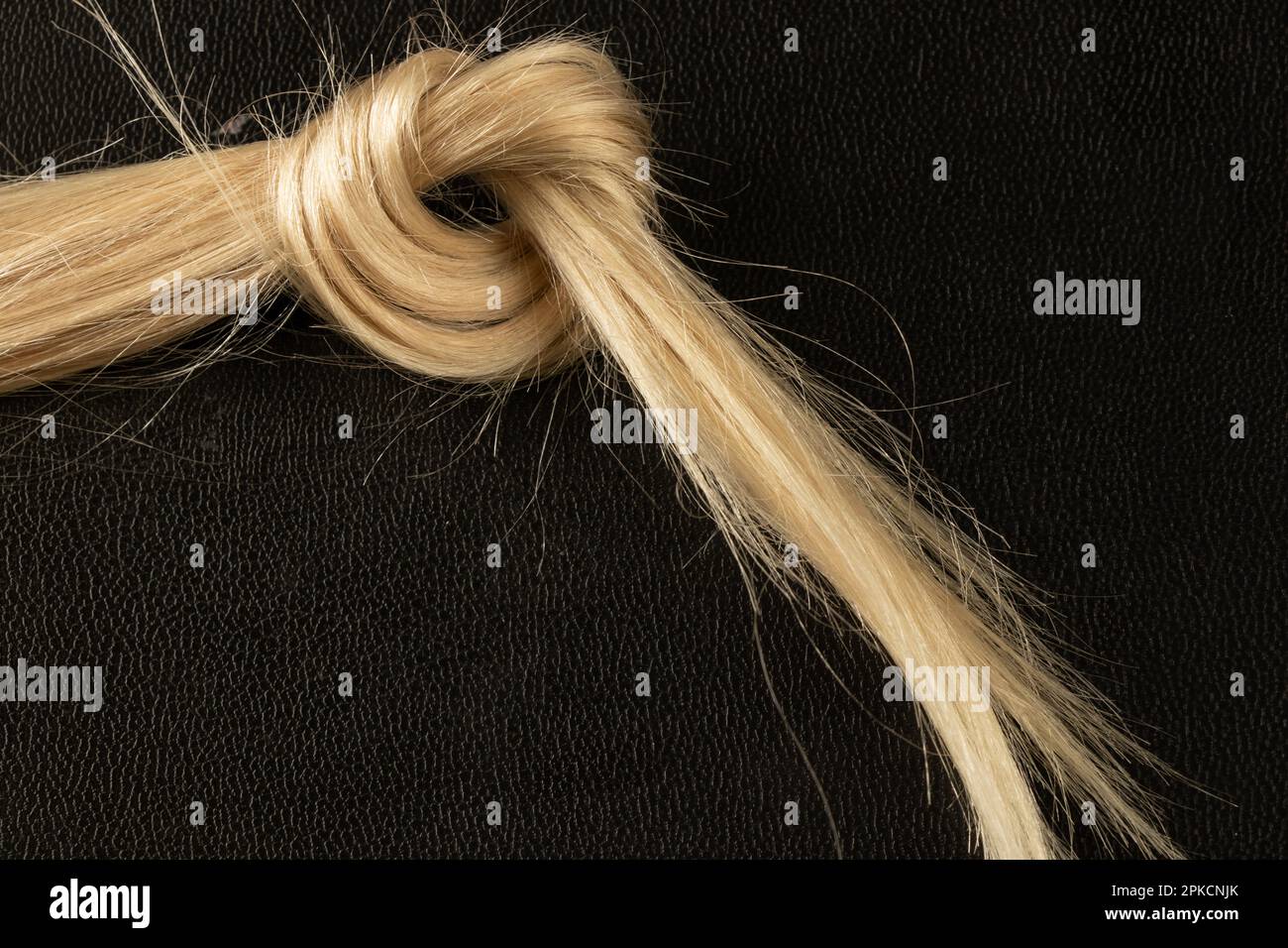 lavorato in un nodo di capelli biondi femmina su un nero Foto Stock