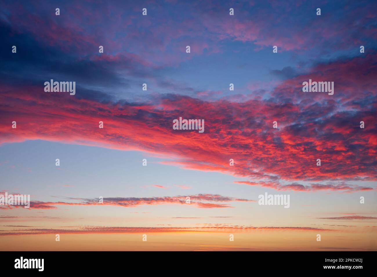 Nuvole rosse e rosa ardenti dipingono il cielo al tramonto o all'alba. Un bellissimo, spettacolare e colorato paesaggio panoramico, perfetto come sfondo naturale. Foto Stock
