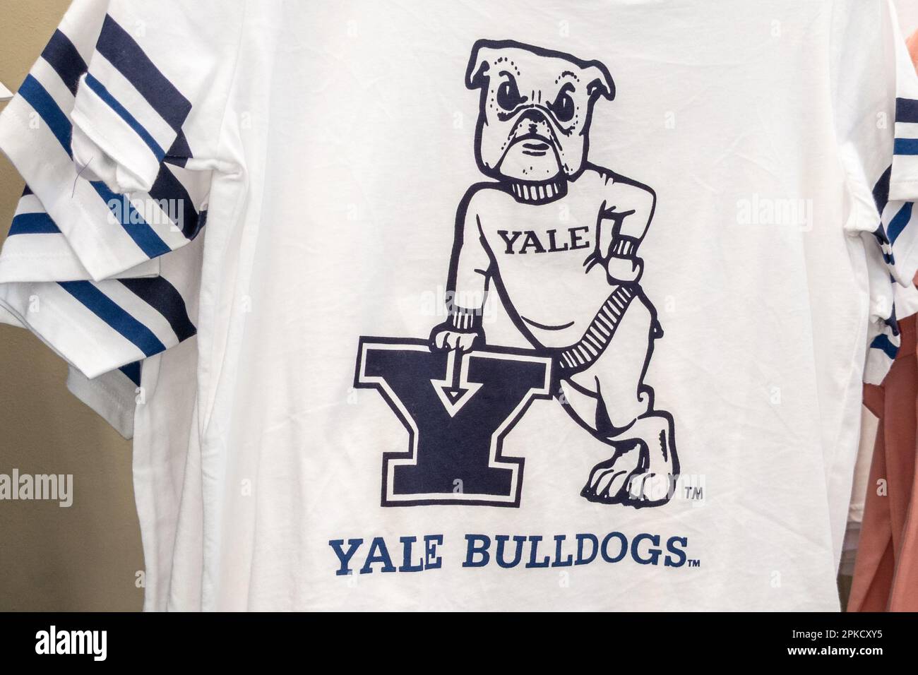 Bordeaux , Aquitaine France - 04 02 2023 : Yale University bulldogs marchio logo su camicia testo segno intercollegiata atletica privata Ivy League resecc Foto Stock