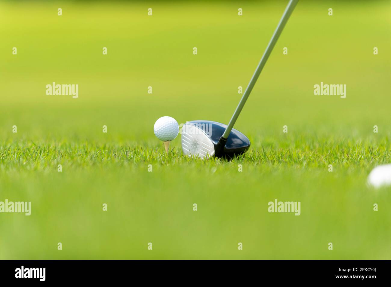 Tee shot driver e palla Foto Stock