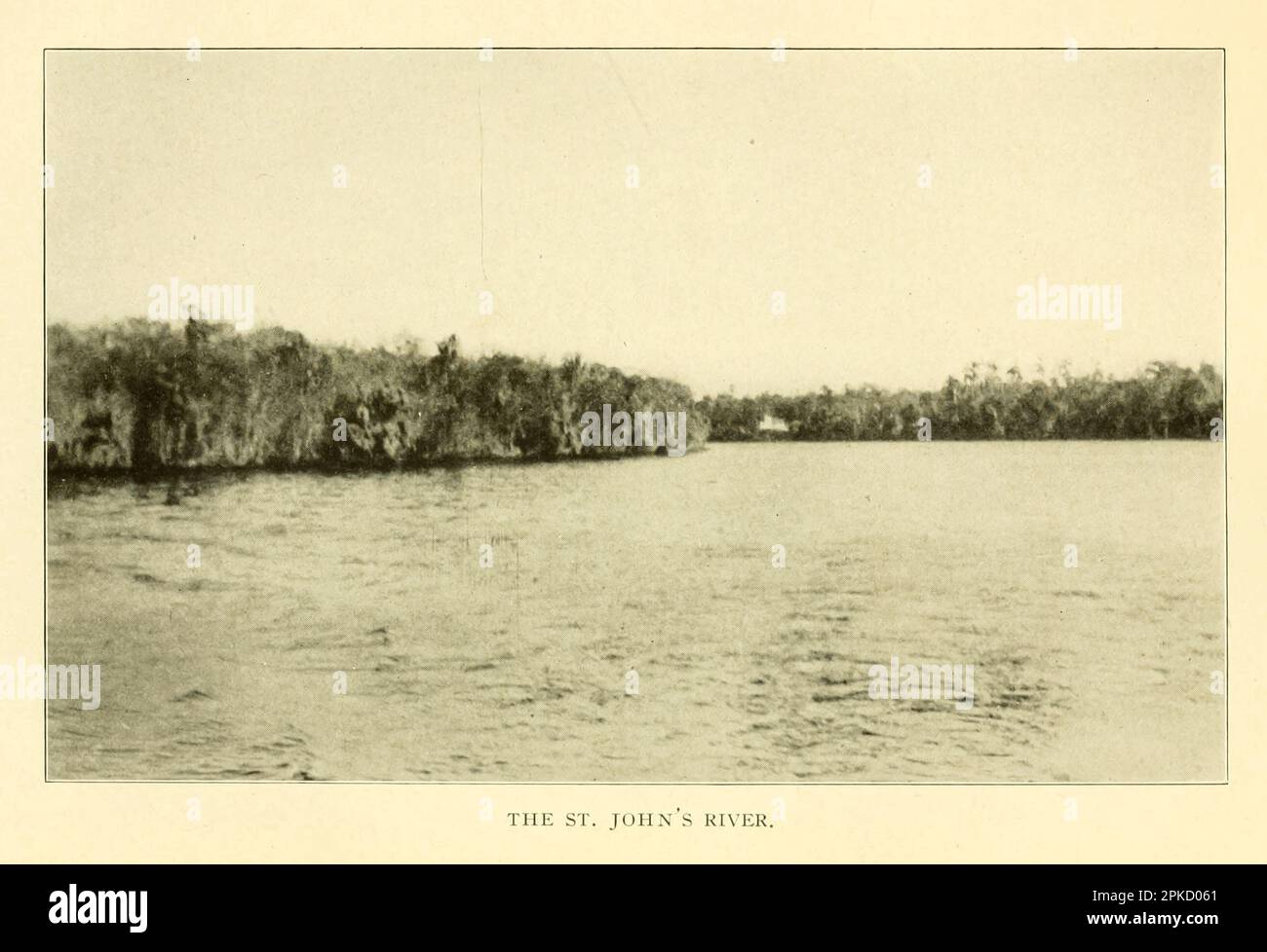 Il St. John's River vintage Fotografia dal libro ' Florida, la terra dell'incanto ' di Nevin otto Winter, 1869-1936 Data di pubblicazione 1918 Editore Boston, The Page Company dalla serie ' See America First ' Foto Stock