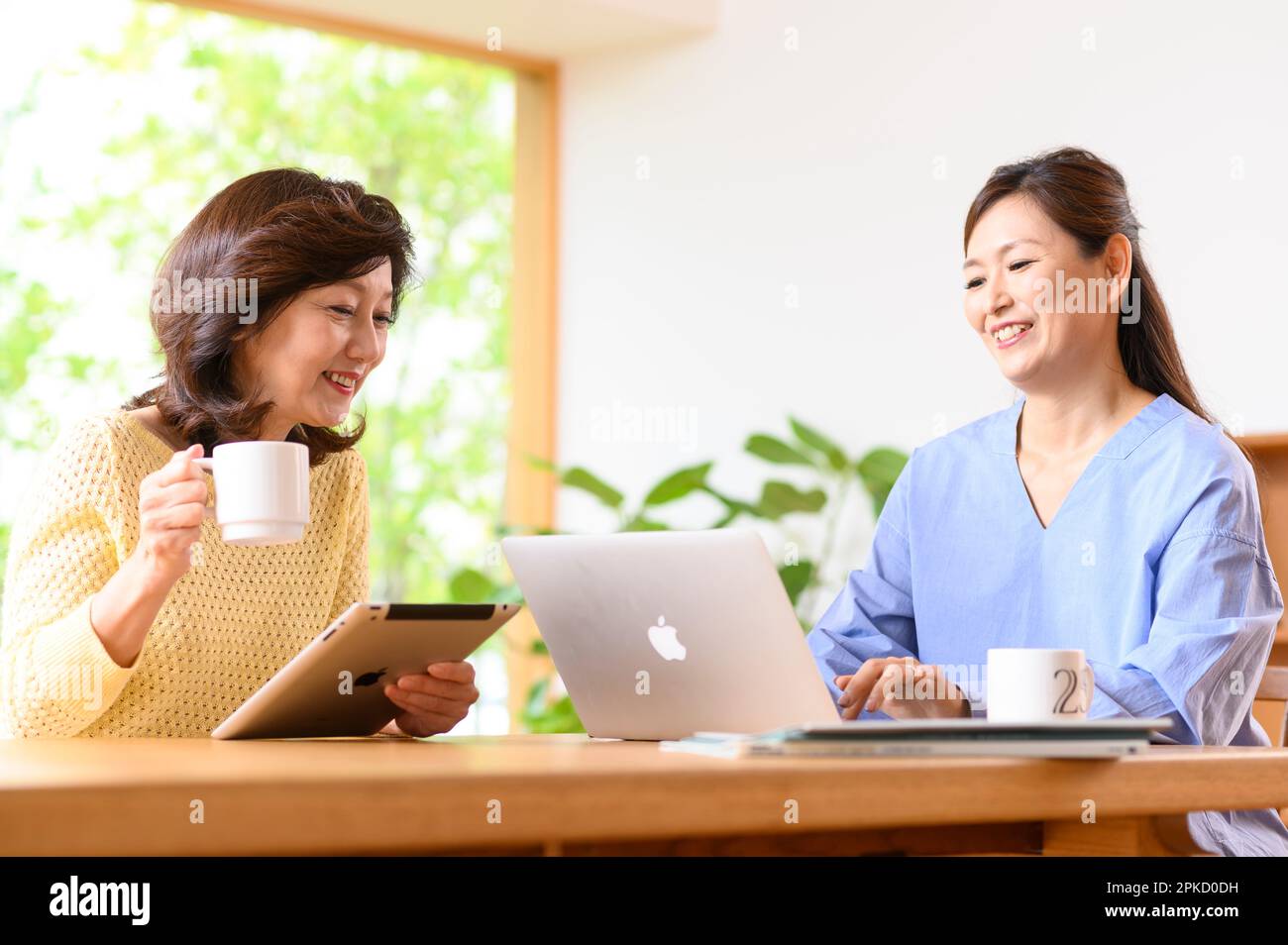 Due donne di mezza età che lavorano in telelavoro Foto Stock