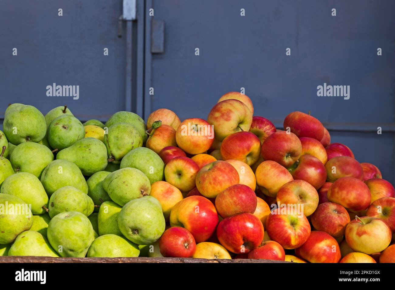 Raccolta di mele, raccolta di pere, su carrello di legno in un magazzino, Palatinato, Renania-Palatinato, Germania Foto Stock