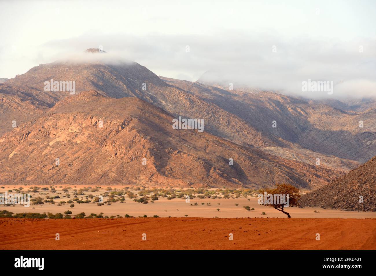 Mary River Valley nella stagione secca, Kaokoland, al confine, le montagne sono Angola, Regione di Kunene, Namibia Foto Stock