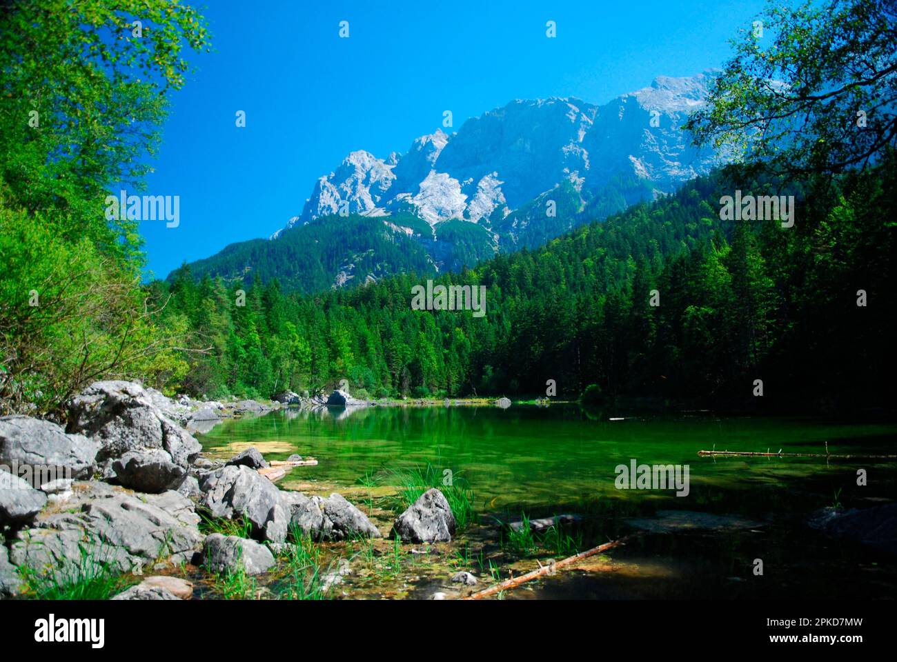 Lago di montagna, montagne, estate, idil paese, paese alpino, Zugspitze, alta Baviera, Frillensee, Germania Foto Stock