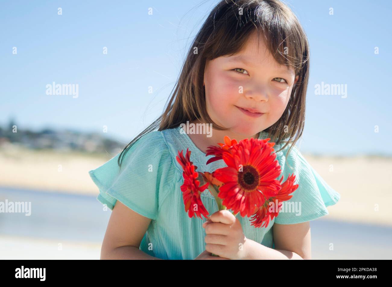 Ragazza che tiene gerbera rossa Foto Stock