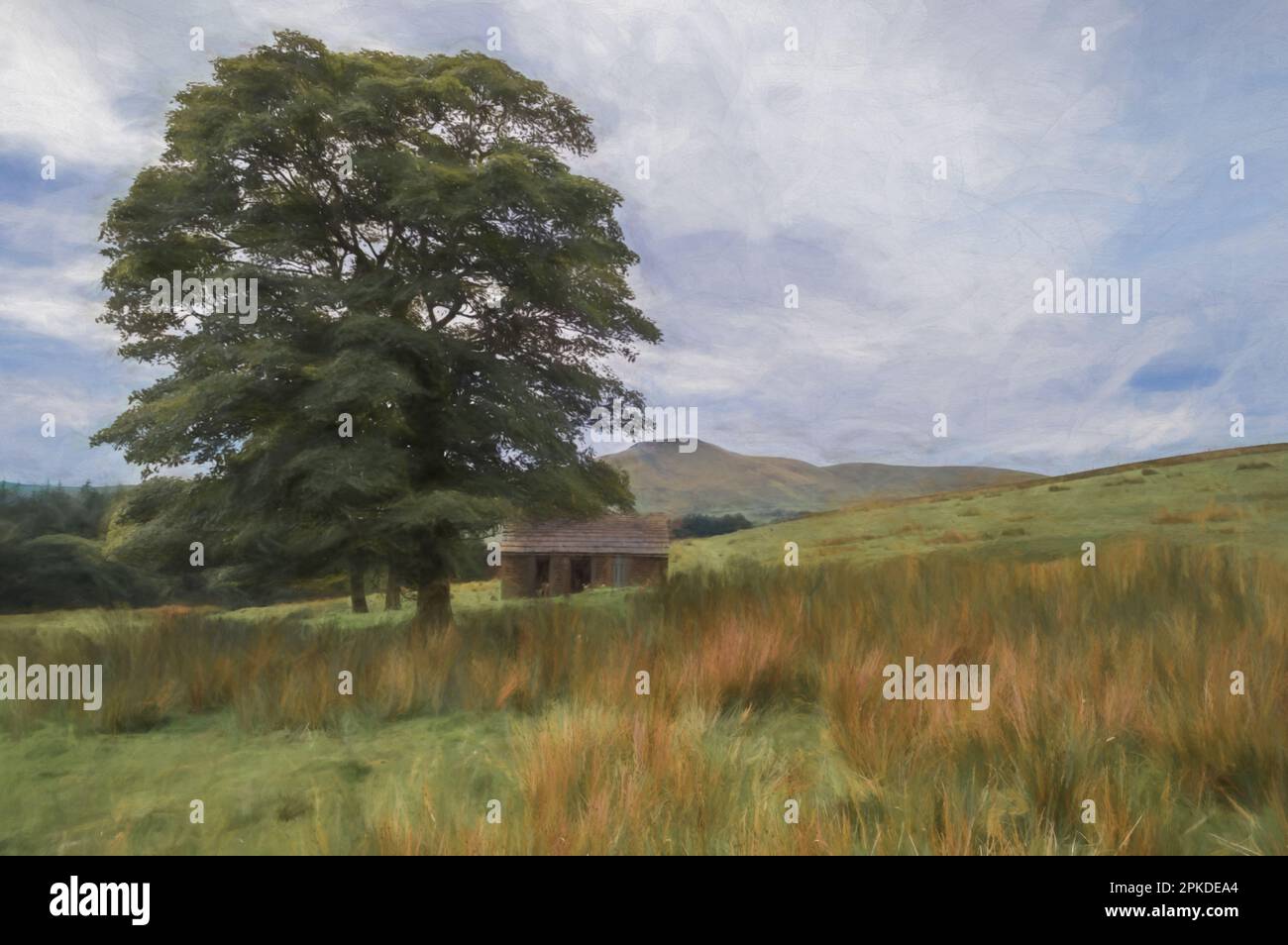 La pittura digitale di una piccola capanna abbandonata può essere vista attraverso i rami di un albero di Sycamore nel Parco Nazionale del Peak District. Shutlsloe può essere Foto Stock