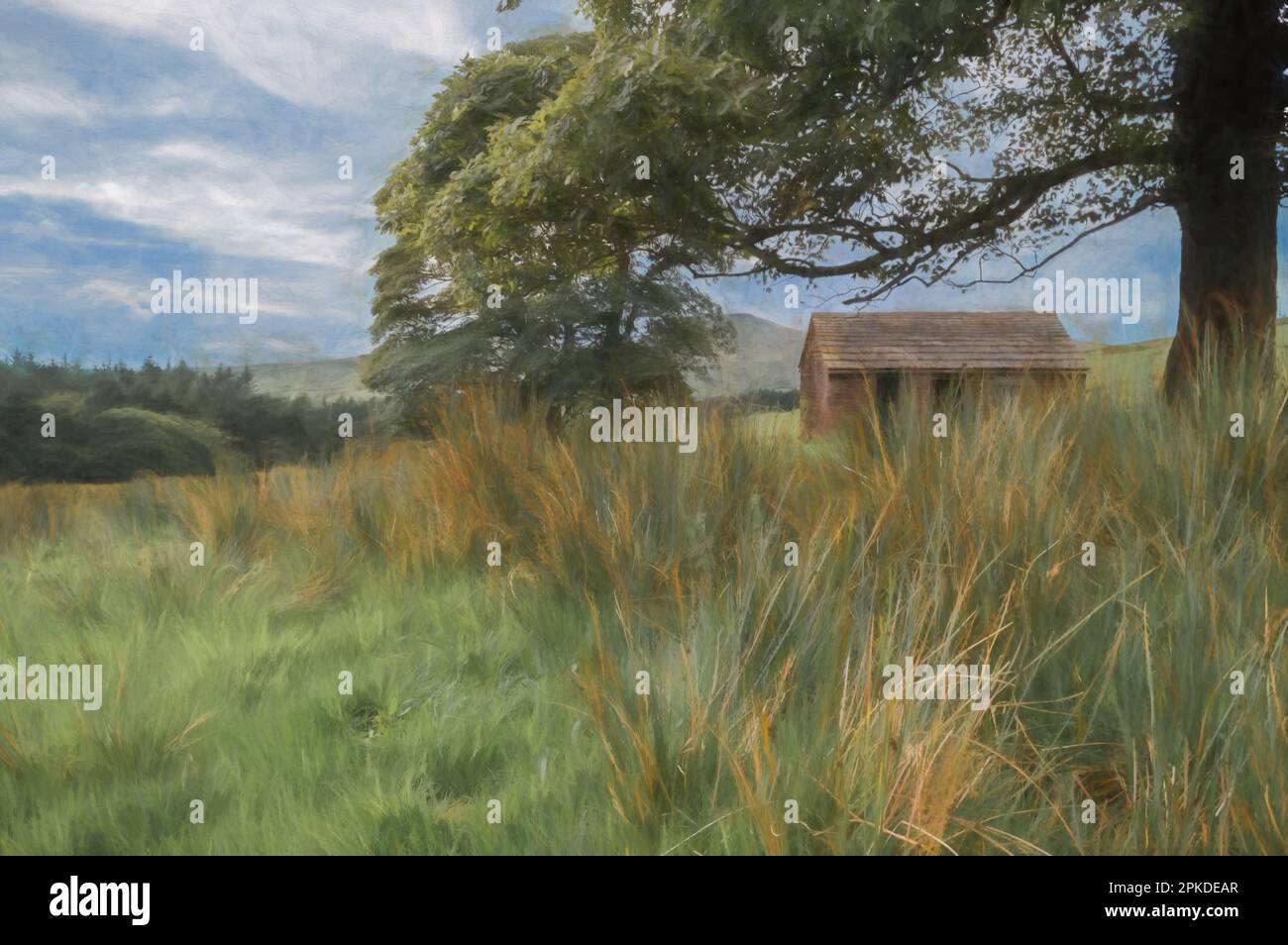 La pittura digitale di una piccola capanna abbandonata in un campo, può essere vista attraverso i rami di un albero di Sycamore nel Parco Nazionale del Peak District. Una collina n Foto Stock