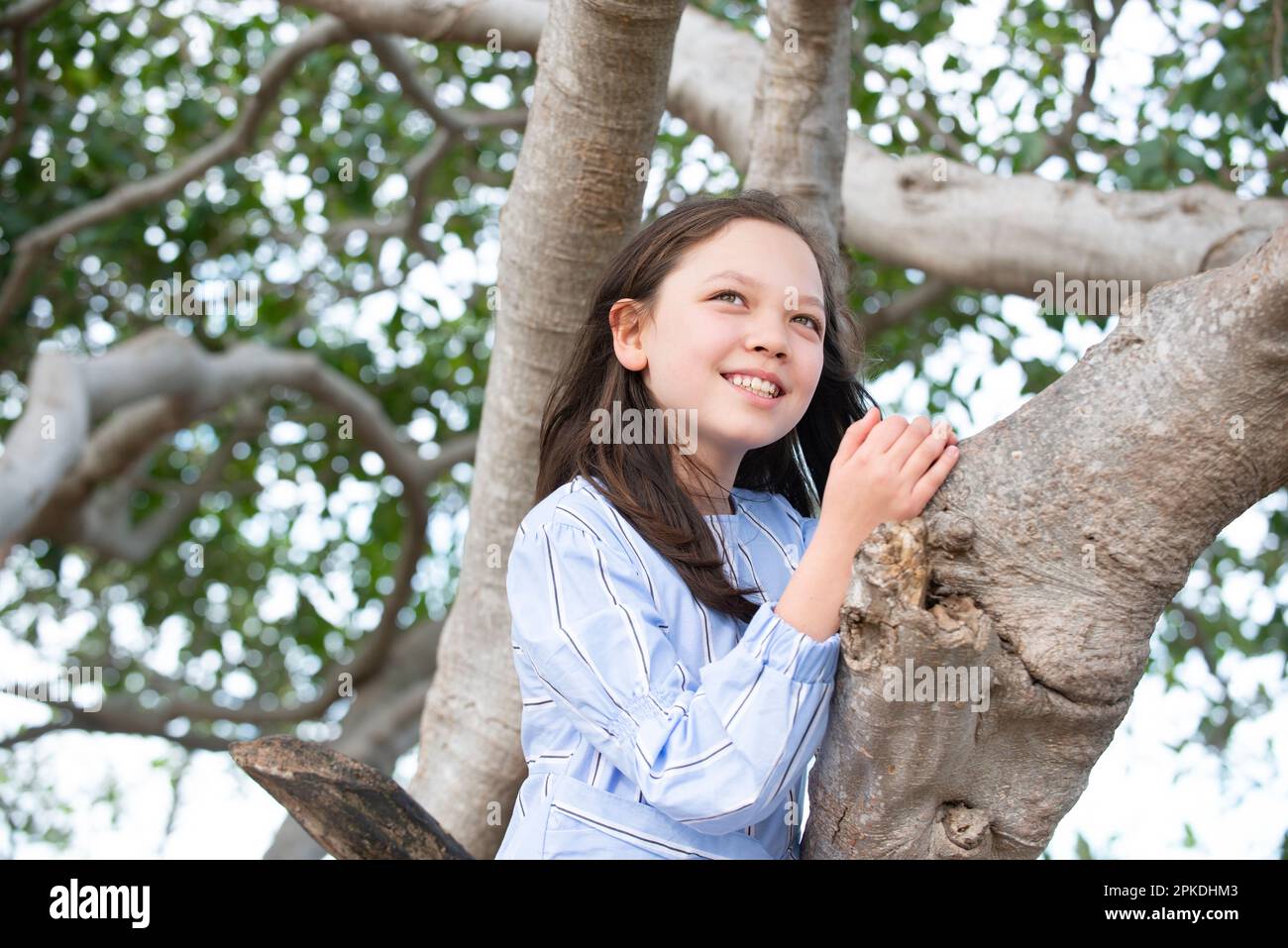 Albero di arrampicata di mezza ragazza Foto Stock