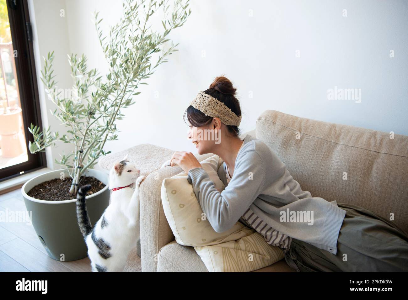 Donna che gioca con gatto a casa Foto Stock