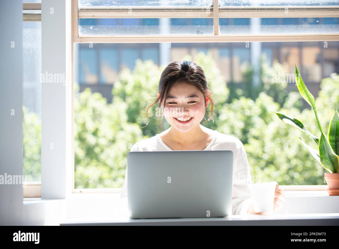Donna che utilizza un computer con una tazza di tè in mano alla finestra Foto Stock