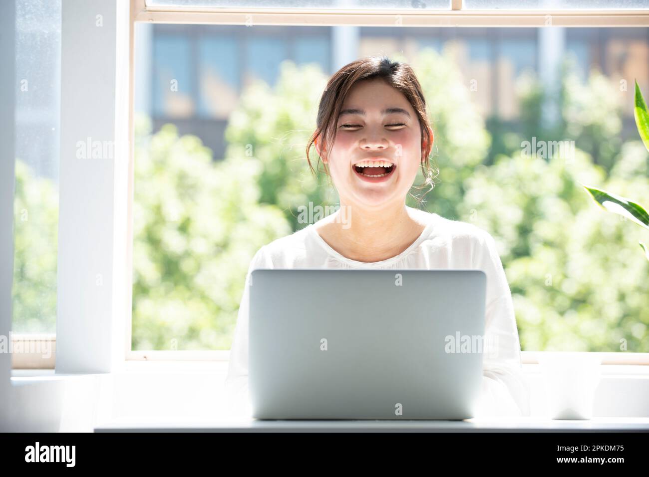 Una donna che utilizza un computer vicino alla finestra Foto Stock