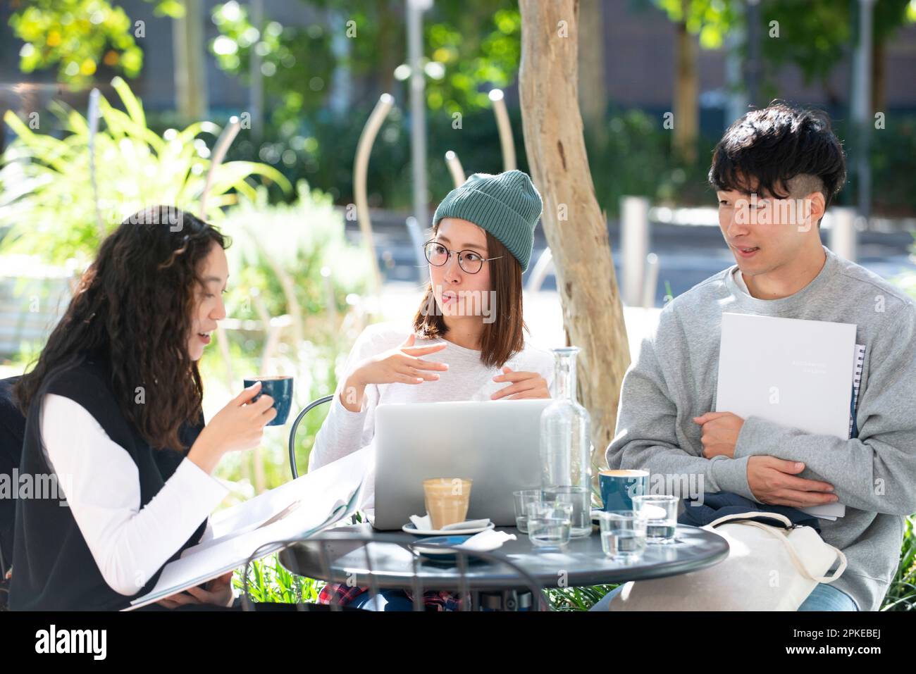 Tre studenti che studiano al bar Foto Stock