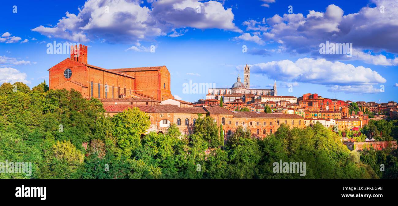 Siena, Italia. Scenario estivo di Siena, una bellissima città medievale in Toscana, con vista al tramonto sul Duomo. Foto Stock