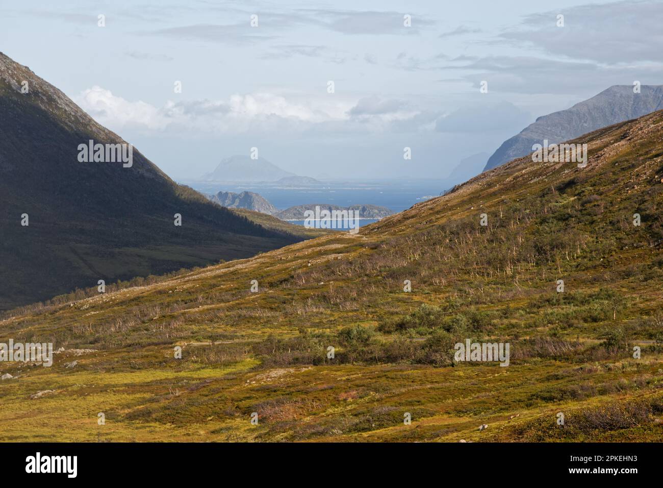 Le colline dell'isola di Kvaløya e il Mare di Norvegia sullo sfondo Foto Stock