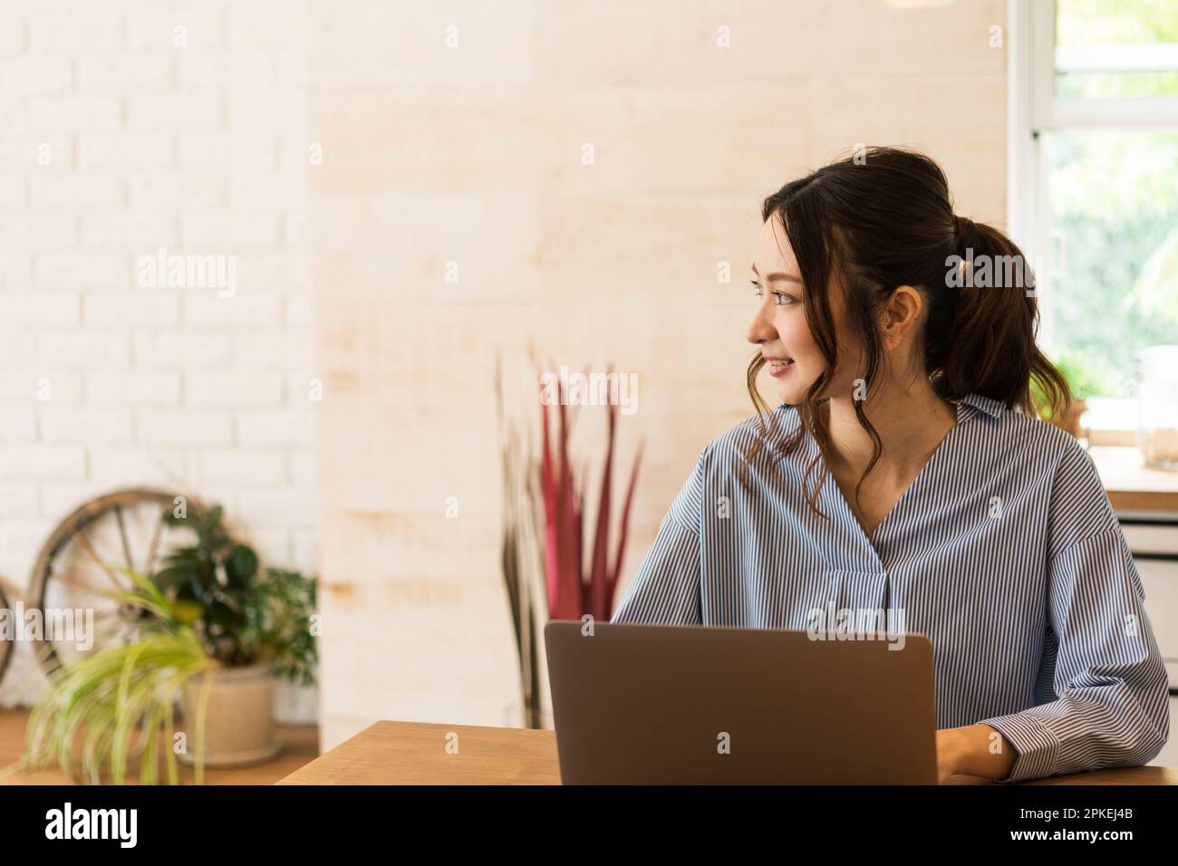 Donna che lavorano a casa Foto Stock