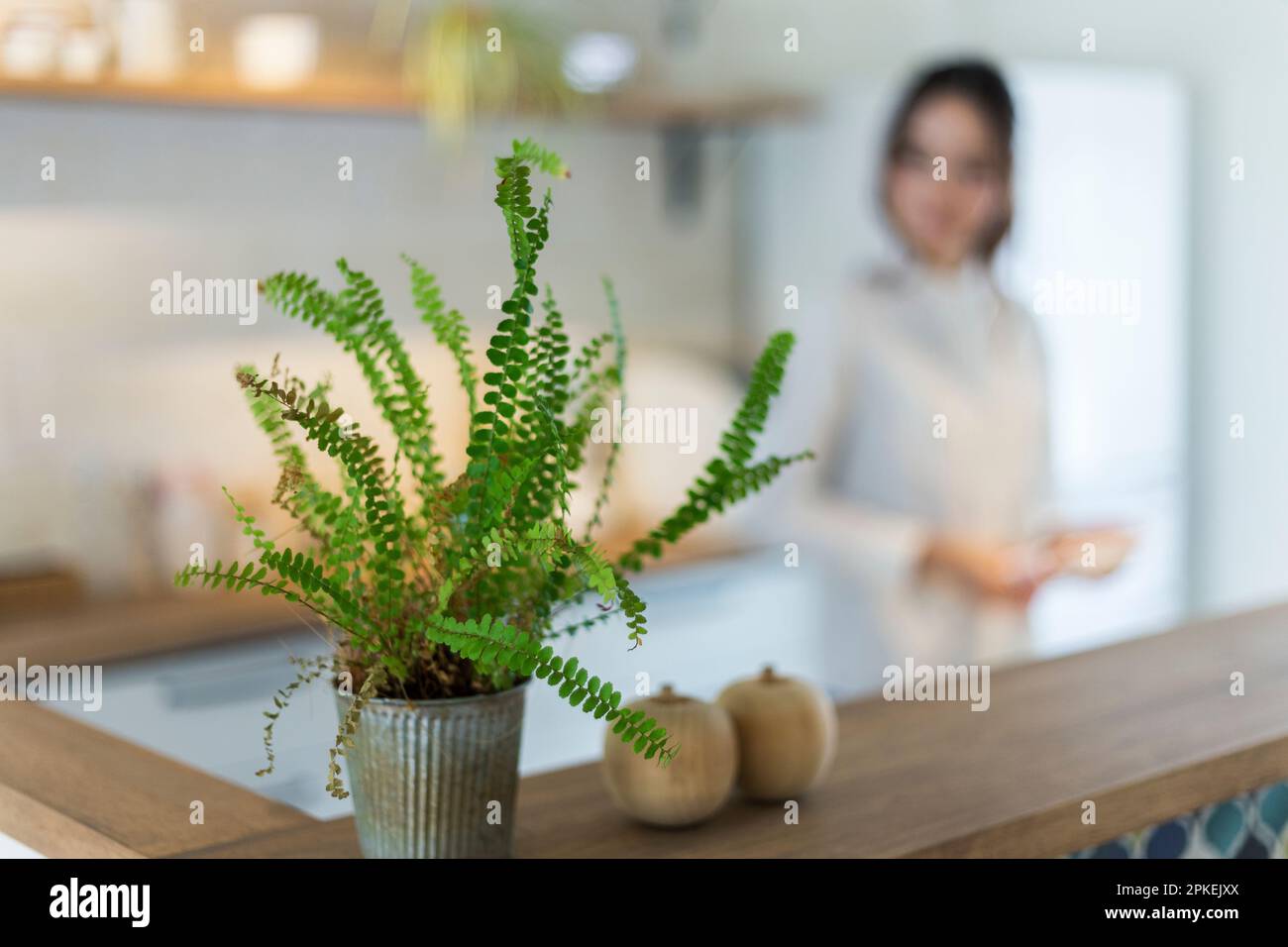 Donna che fa lavori in cucina con piante di casa Foto Stock
