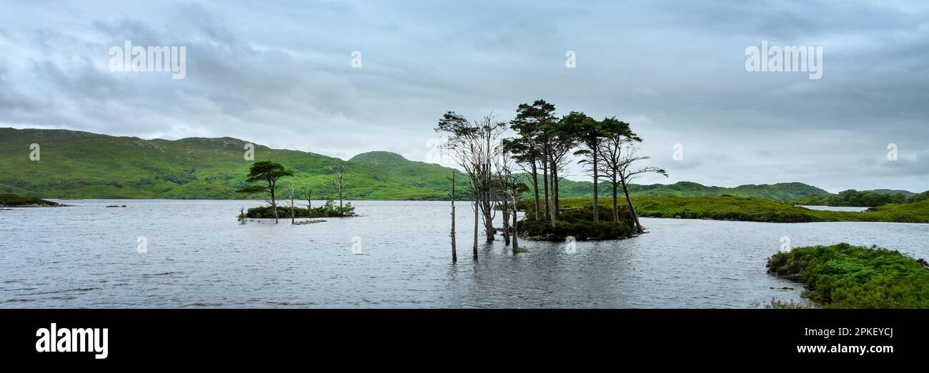 Piccola isola su Loch Assynt nelle Highlands nord-occidentali, Scozia, Regno Unito Foto Stock
