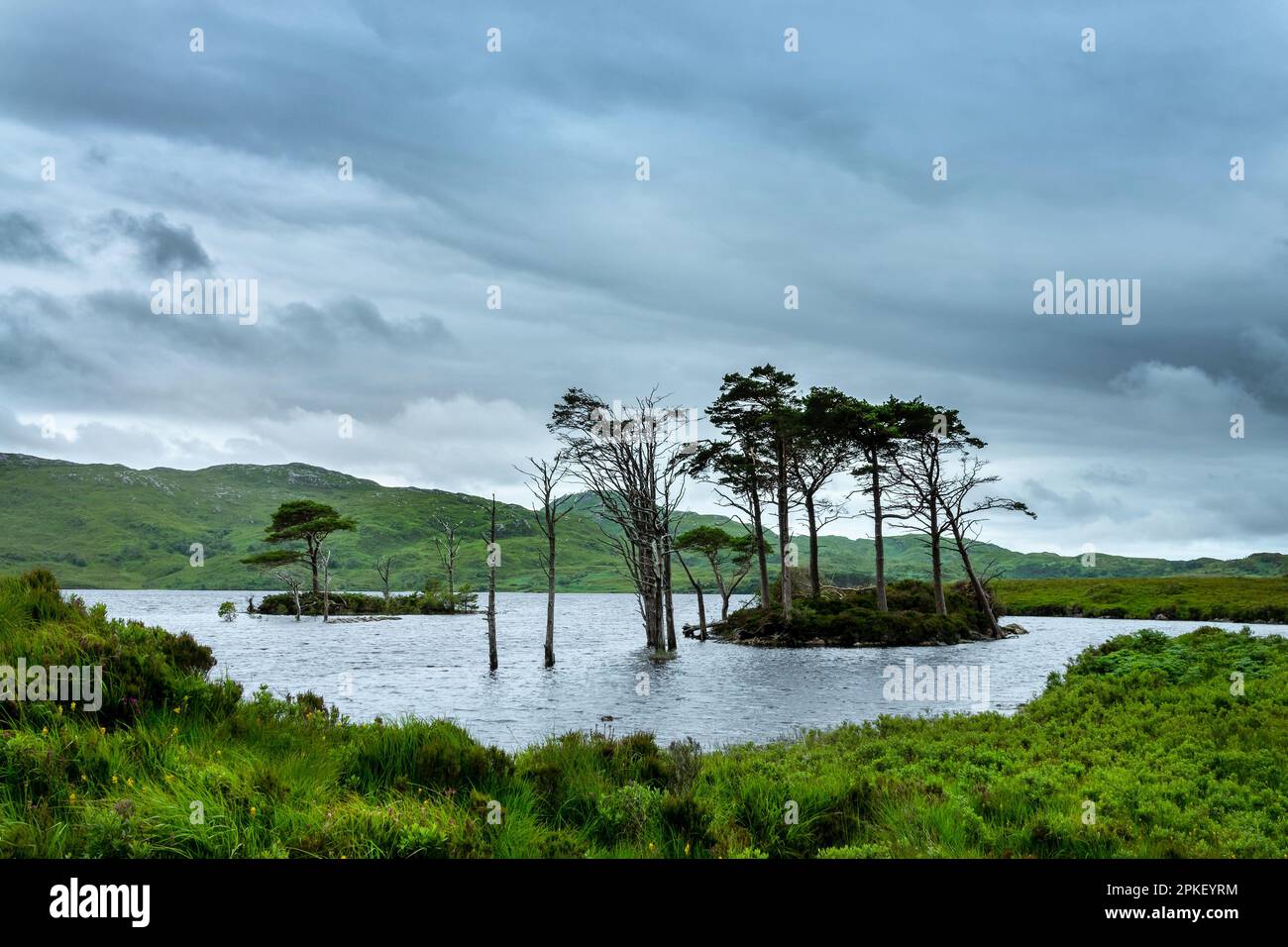Piccola isola su Loch Assynt nelle Highlands nord-occidentali, Scozia, Regno Unito Foto Stock