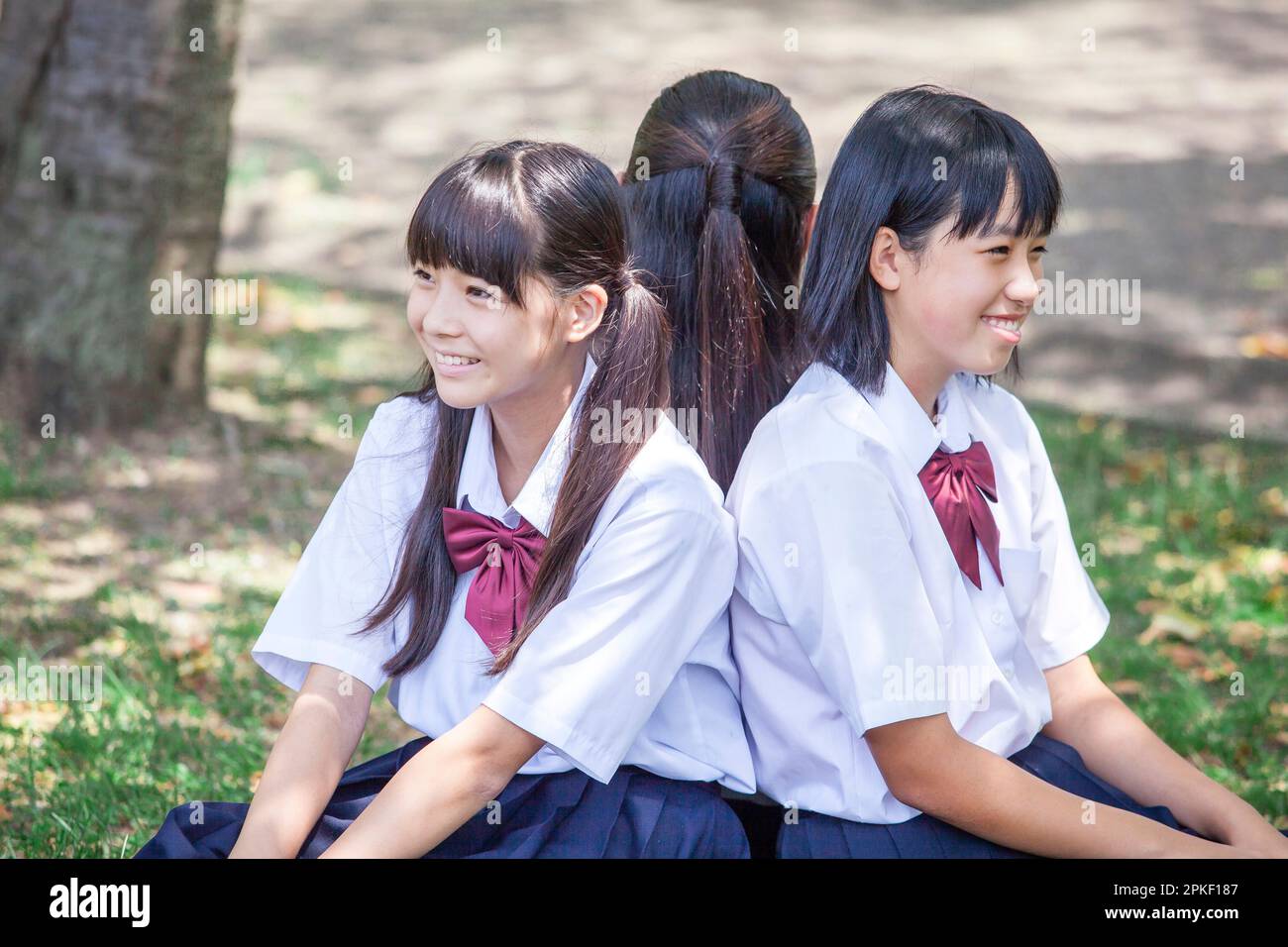 Studenti delle scuole superiori giovani seduti di nuovo a Indietro in un campo Foto Stock