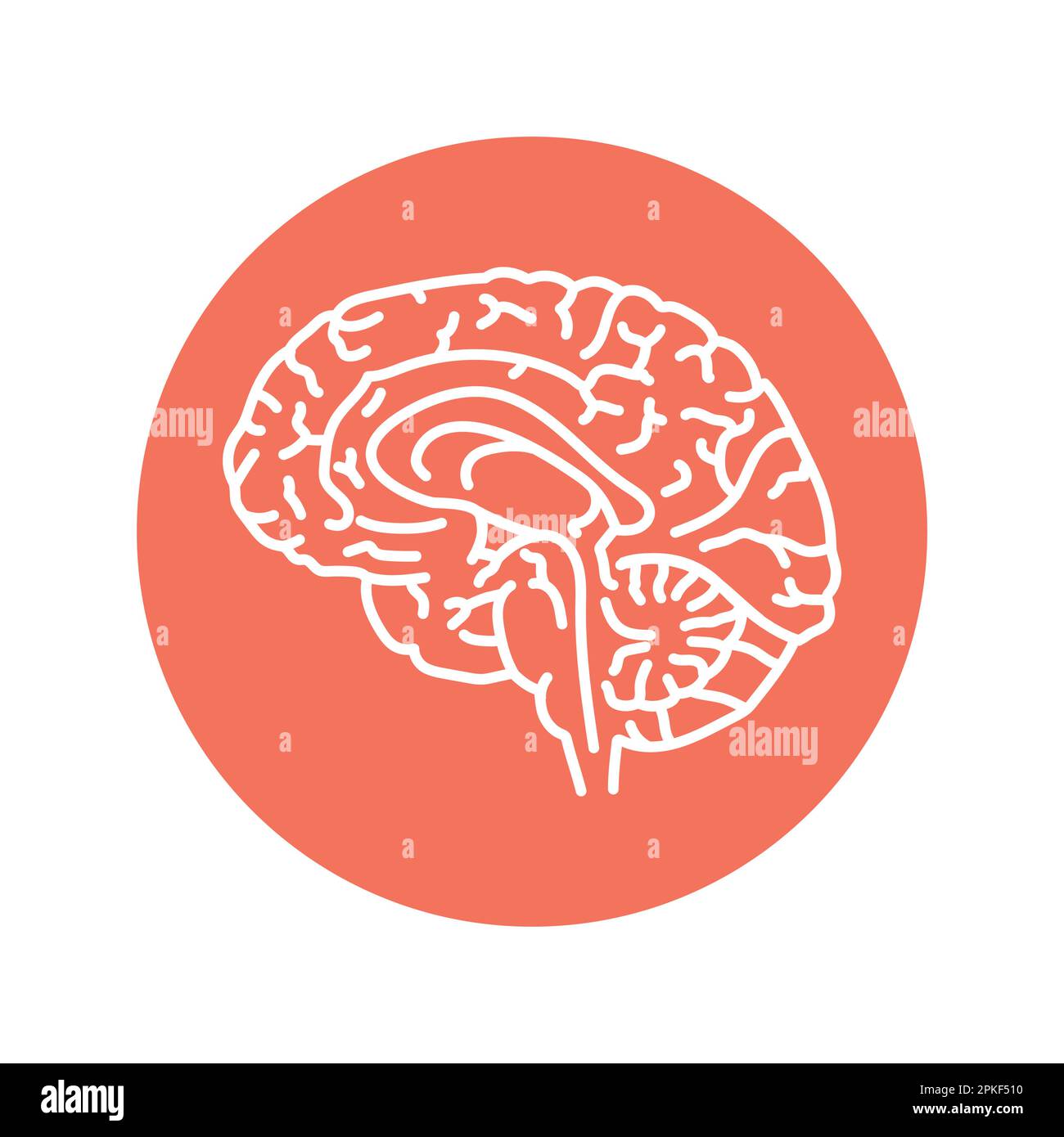 Icona della linea di colore ipofisaria. Sistema endocrino. Pittogramma per pagina web, app mobile, promo. Illustrazione Vettoriale