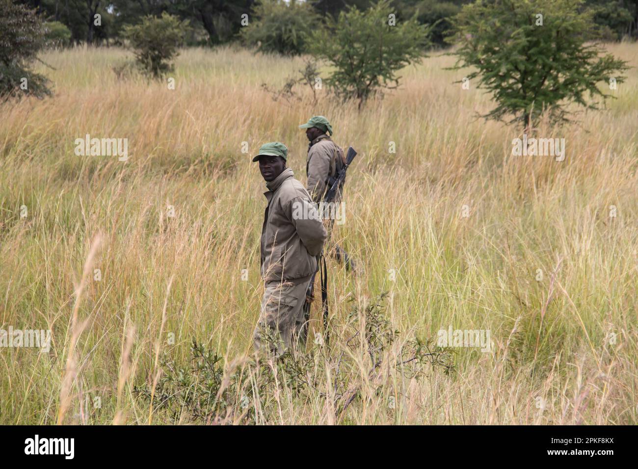 Rangers armati di armi nel parco di conservazione degli animali in Zimbabwe, in Rhino di Ispire e Wildlife Conservancy Foto Stock