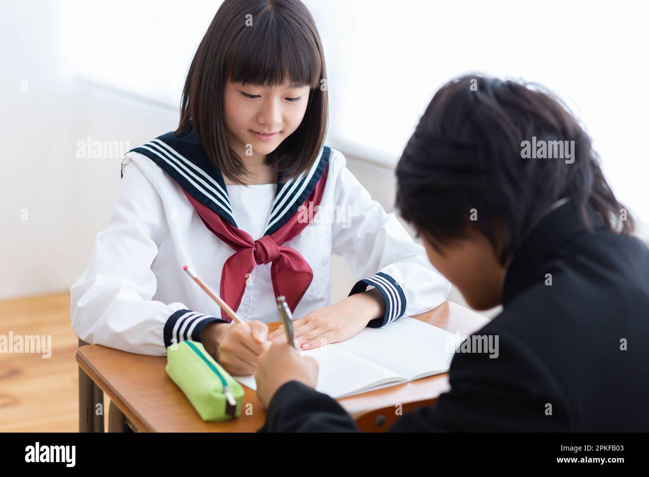 Due studenti delle scuole superiori che studiano insieme Foto Stock