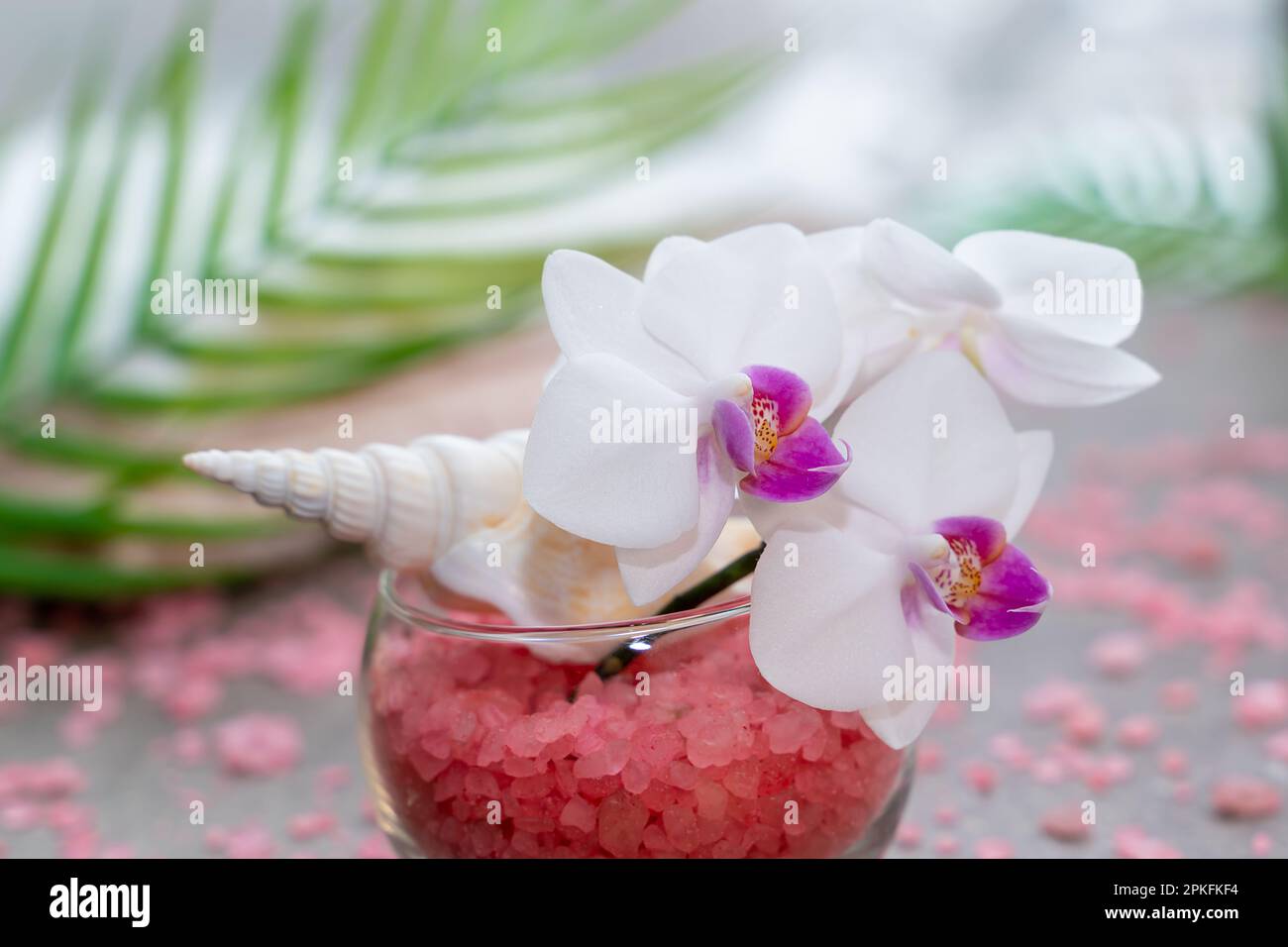 Orchidea rosa in vaso con sale marino rosa primo piano. Concetto di Spa e benessere Foto Stock