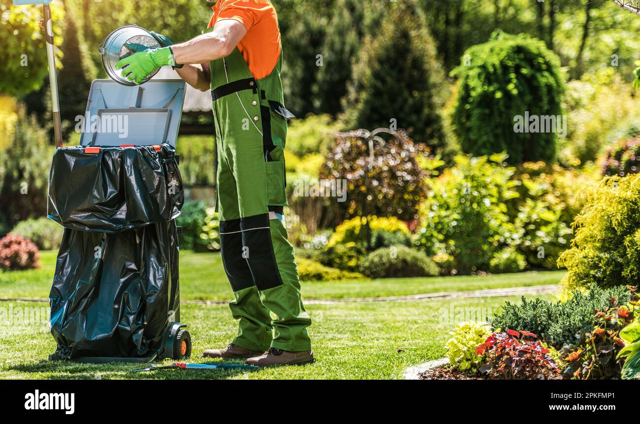 Spring Time Back Yard Garden manutenzione e pulizia eseguita da uomo caucasico. Rimozione di piante morte e erba in un cestino Foto Stock