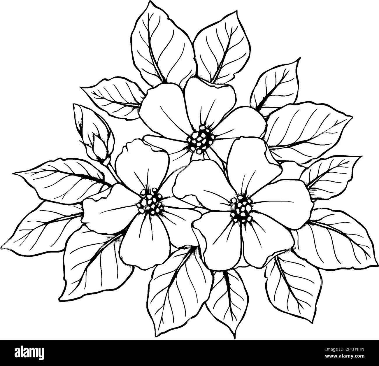 contorno nero disegno di un ramo di fiori su sfondo bianco, logo, arte Foto Stock
