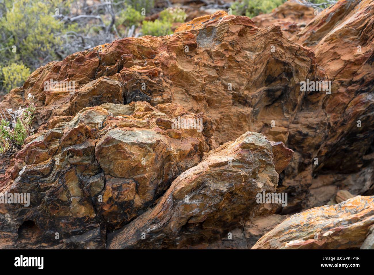 Particolare di coloratissimi massi di rocce metamorfiche, sparati in una luminosa luce estiva nuvolosa, vicino a Worcester, Capo Occidentale, Sud Africa Foto Stock