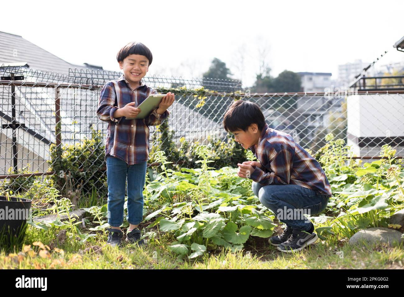 Fratelli che osservano le piante in giardino e scattano foto con i loro telefoni Foto Stock