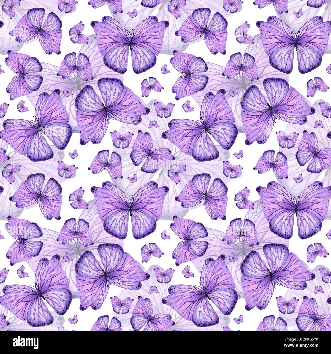 Acquerello senza cuciture motivo farfalla viola su sfondo nero, dipinta a mano in stile botanico, per vacanze, matrimonio design. Confezione di carta digitale Foto Stock