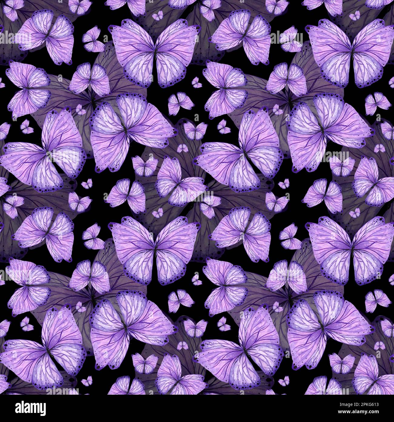 Acquerello senza cuciture motivo farfalla viola su sfondo nero, dipinta a mano in stile botanico, per vacanze, matrimonio design. Confezione di carta digitale Foto Stock
