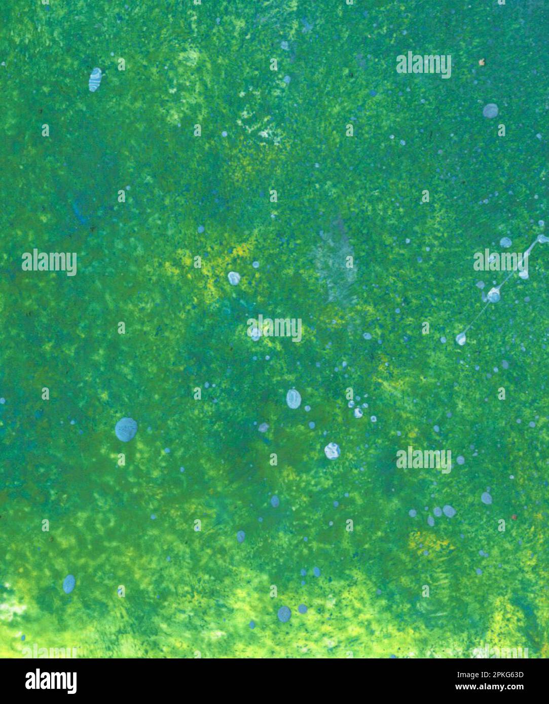 Sfondo verde acquerello, blu, giallo dipinto a mano per matrimoni, vacanze, logo e design decorativo. Immagine astrazione colorata Foto Stock
